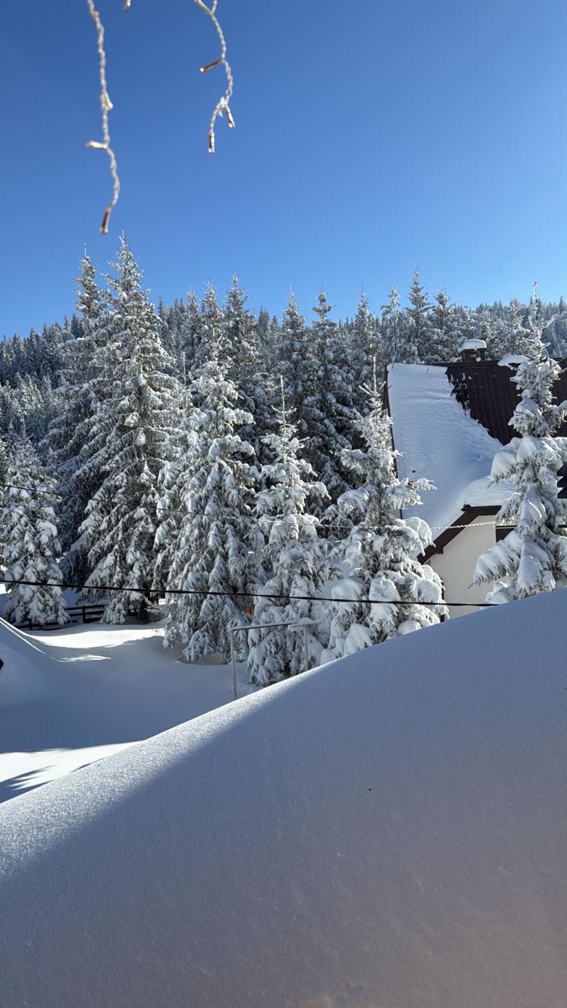 Guest House Alpha Ski Camp Jahorina Exterior foto